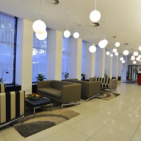 Golden Tulip Reiss